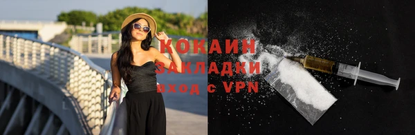 молекула духа Арсеньев
