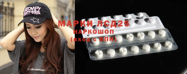 молекула духа Арсеньев
