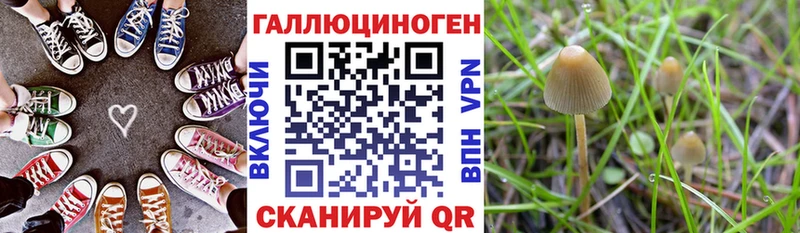 наркошоп Озёры Псилоцибиновые грибы MAGIC MUSHROOMS